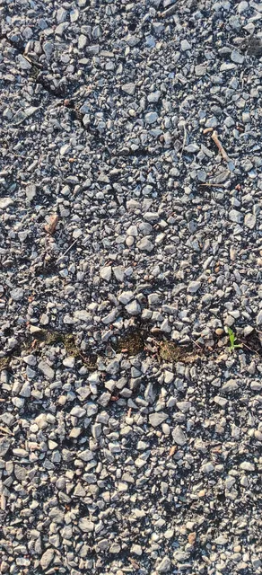 McKinley Park Tennis Courts