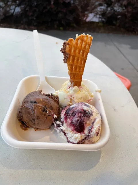 Jeni's Splendid Ice Creams