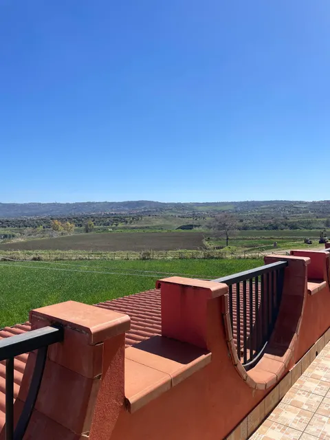 B&B e Appartamenti Le Palme