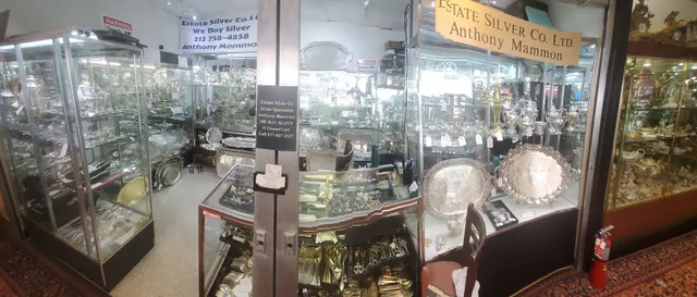 Estate Silver Co Ltd - Anthony Mammon