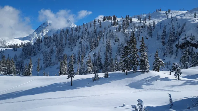 Mt. Baker Ski Area - Heather Meadows Base Area