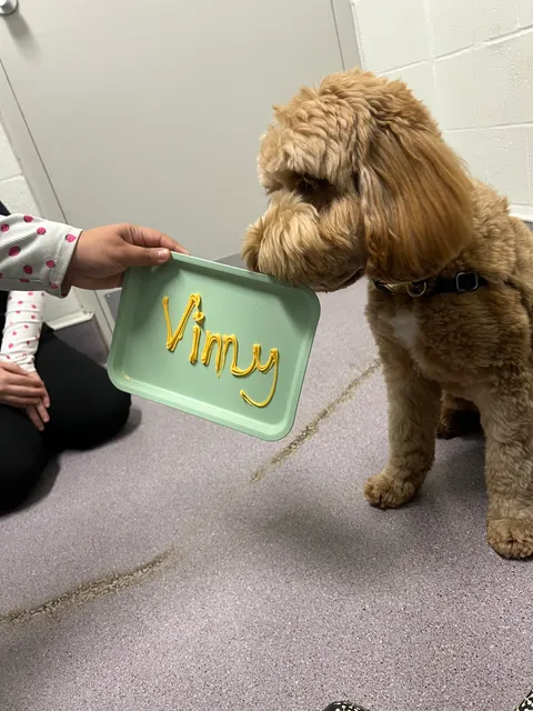 San Carlos Animal Hospital