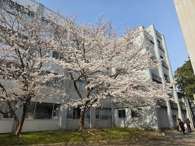 Hyogo University
