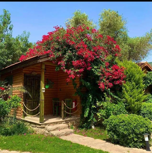 Datça Boheme Butik Houses