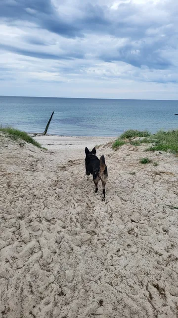 Ferienhaus WINDFLÜCHTER