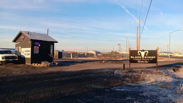 Black Sheep Coffee Co