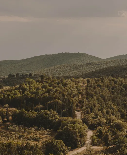 Cantina Monte Vibiano