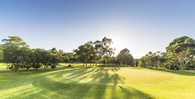 Asquith Golf Club