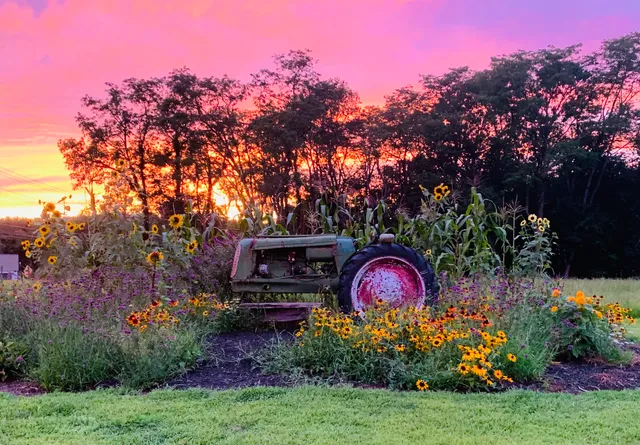 Scotts' Farm & Garden