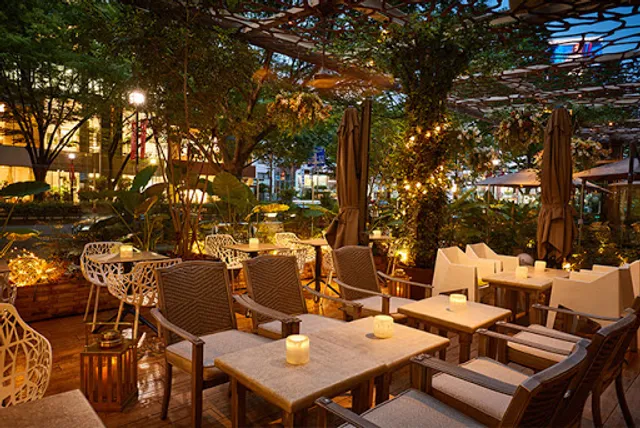 Cafe & Dining Zelkova