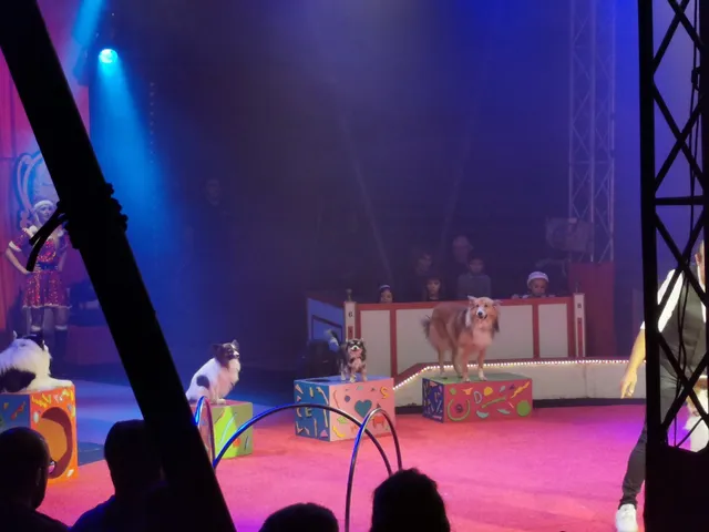 Le Cirque de Noël – Christiane Bouglione