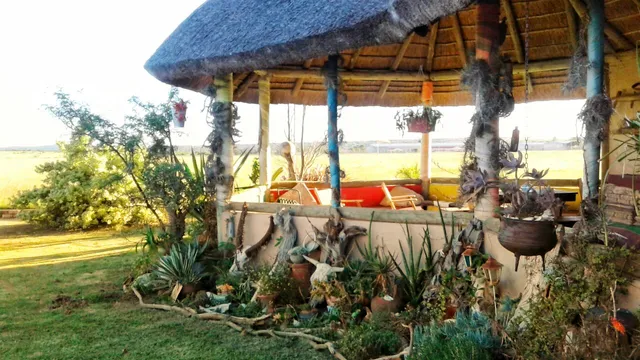 Blue Skies Backpackers