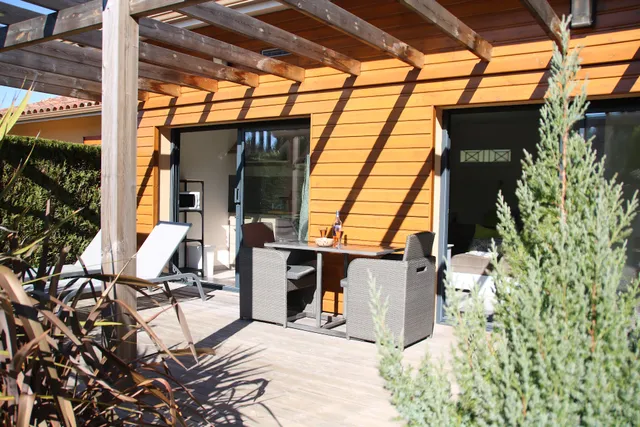 Les bambous à Lacanau