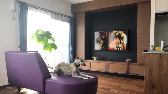 CLASSUP FURNITURE（クラスアップファニチャー）