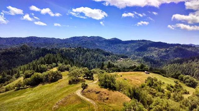 Wildwood Conservation Foundation