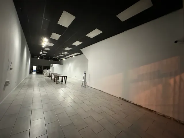 The Drawing Room: ANNEX