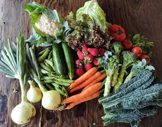 Something Good Organics