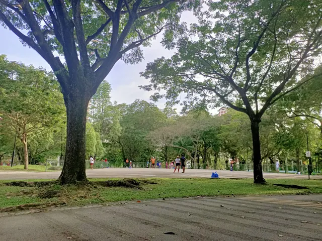 Bishan Park Skating Rink