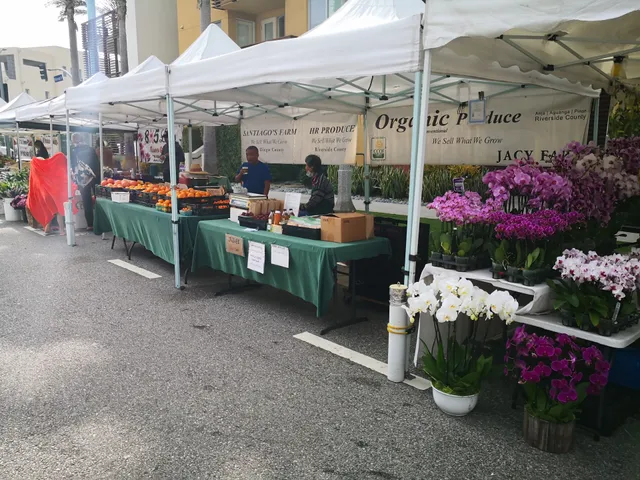 Playa Vista Farmers' Market