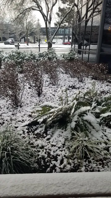 Nike - Miler Building