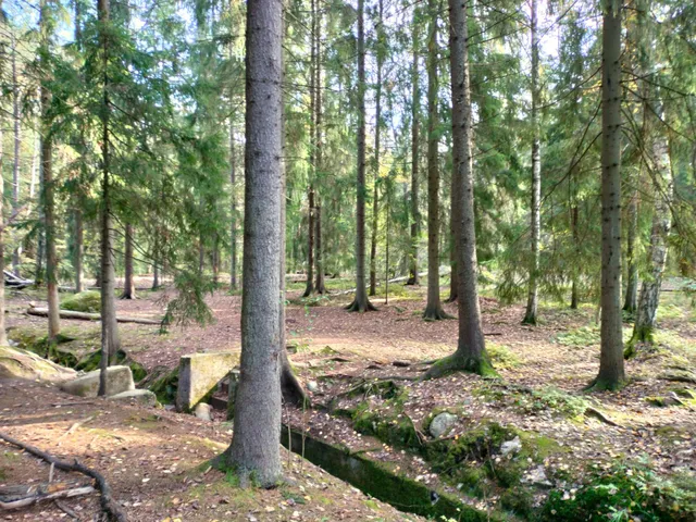 Pakilanmetsä Fortification