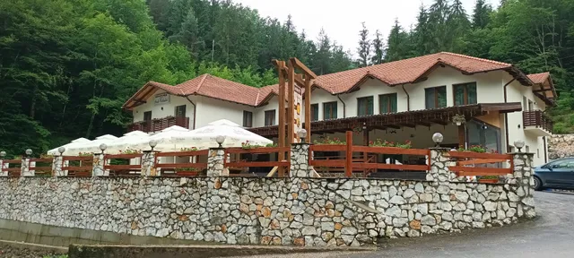 Perla Codrului Pension