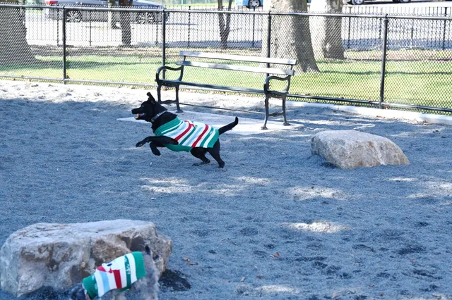 Devoe Park Dog Run