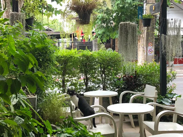 อาร์มแชร์ คาเฟ่ (armchair cafe)