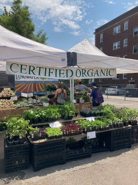Davis Square Farmers Market