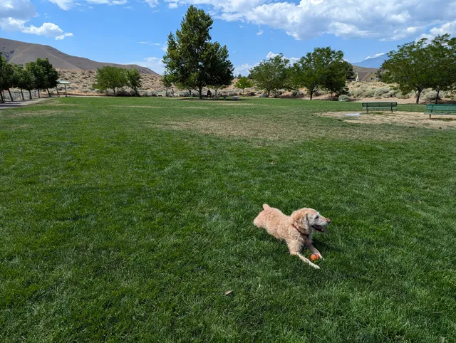 Link Piazzo Dog Park