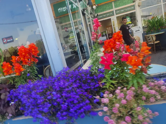 חומוס אליהו