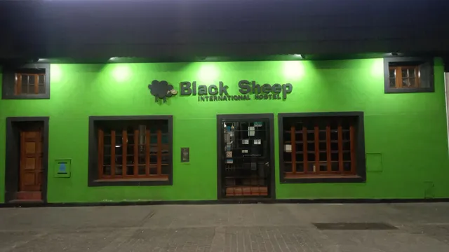 Black Sheep International Hostel