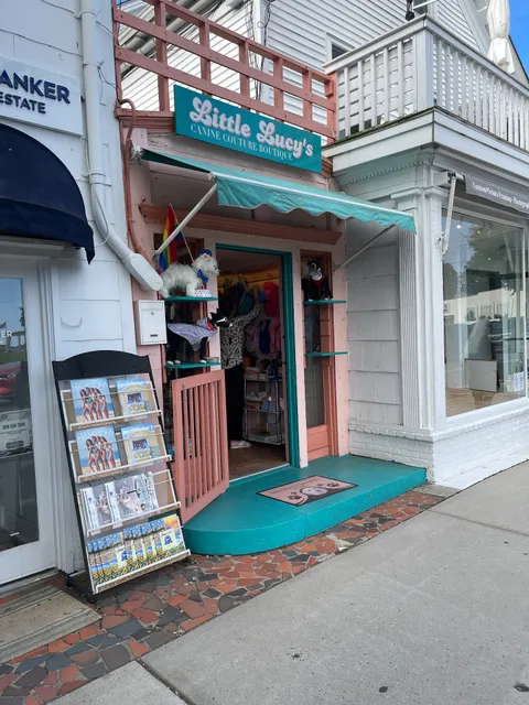 Little Lucy's Accessories