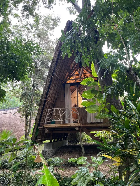 Seed Village Bamboo Huts