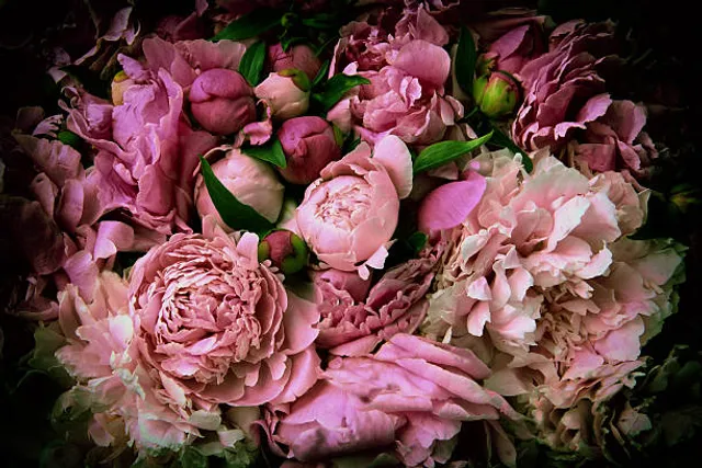 Care Natural Beauty | Shopping Pátio Higienópolis