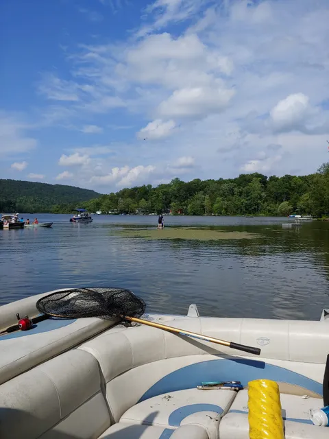 Bear Swamp Wildlife Management Area