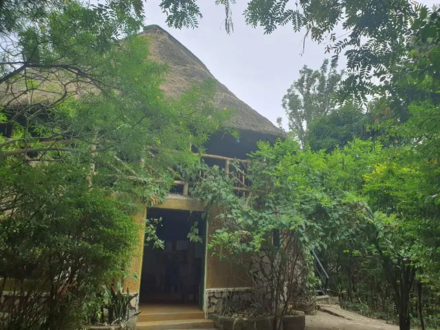 Pumba Safari Cottages