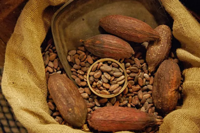 Kaffeerösterei Burg