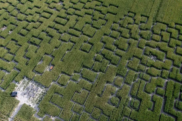 Pop Corn Labyrinthe La Tremblade (Arvert) - Labyrinthe Géant de Maïs