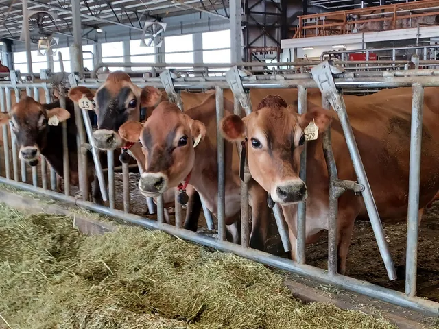 Utah State University