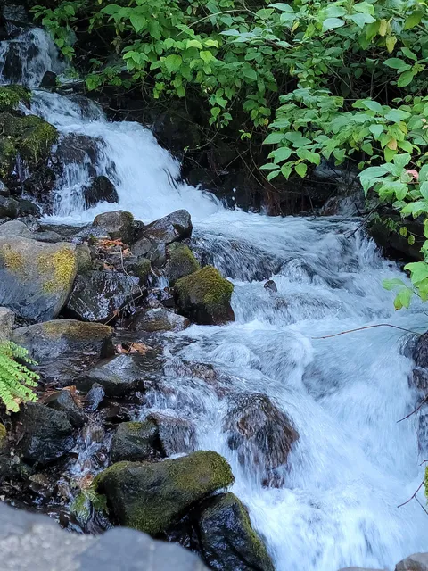 Wahkeena Falls Day Use/Picnic Area/Trailhead