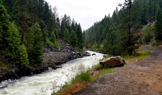 Boise National Forest