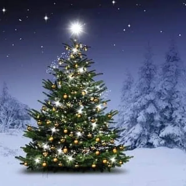 Tchibo im Supermarkt