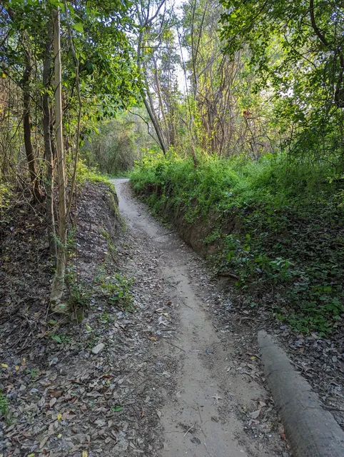 Memorial Park Green Ridge Trail