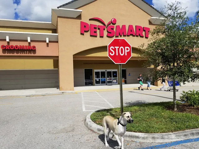 Commons at Royal Palm