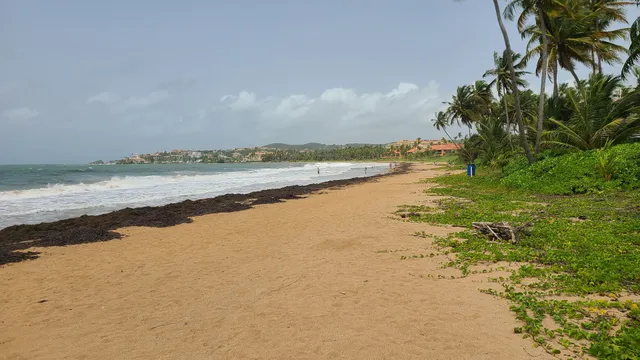 Playa Palmas del Mar