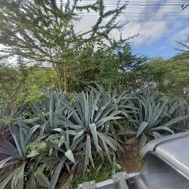 Shield Park Villa Hotel