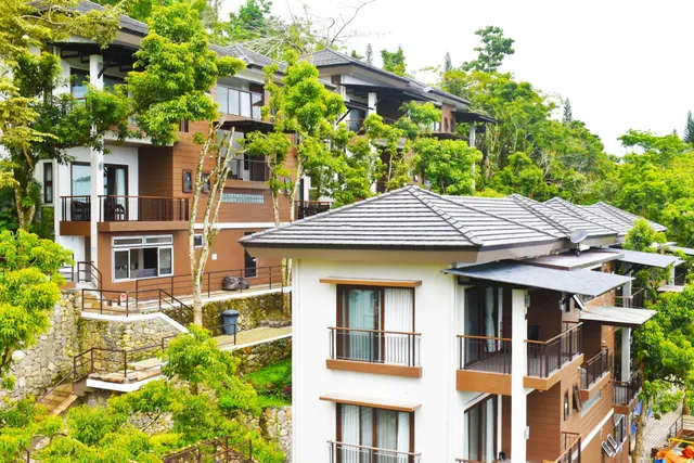 Mist mountain resort