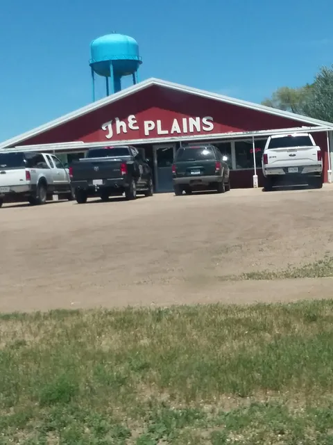 The Plains LLC