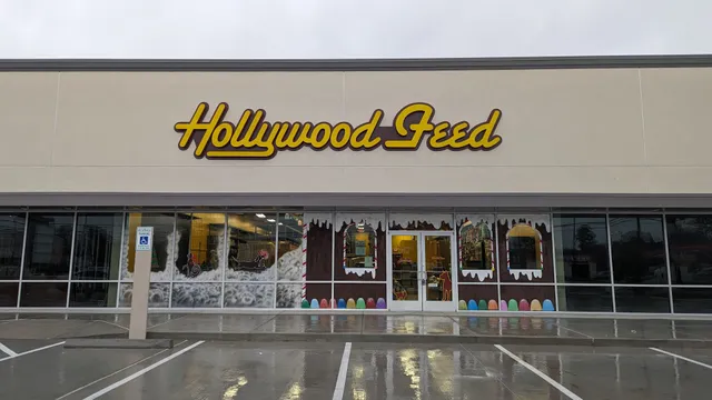 Hollywood Feed